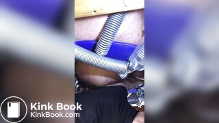 le cochon mange de la merde