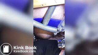 le cochon mange de la merde