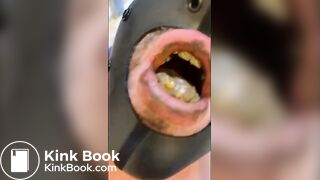 Chewing the Shit