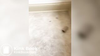 On the toilet