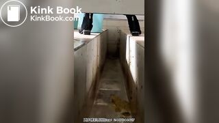 The girl defecated heavily in the toilet 3