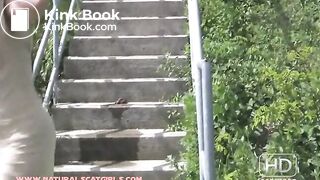 Shitting on the stairs