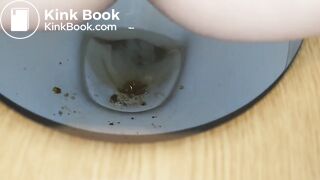 scat in toilet