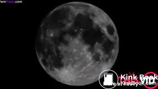 Sweet Betty scat Collection