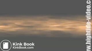 Praying Mantis - The Job Interview