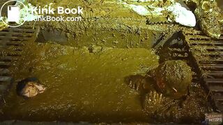 Betty submerges in cowshit compilatiion - sale