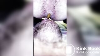 Swallow Shit