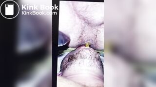 Swallow Shit
