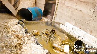 Dung Prison - pegging and fucking in cowshit