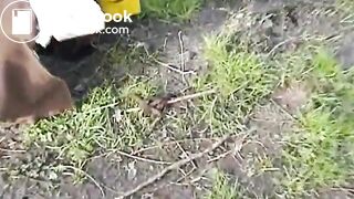 Shitty_Menu_6mp4 - Kinky Thai ShitSluts