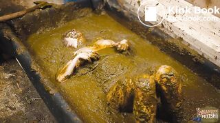 Cleaning ends in a mess - girl falls in to cowshit