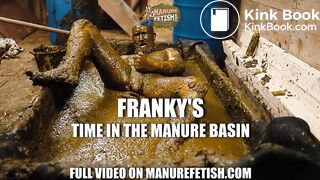Frankys time in the manure basin - scat anal