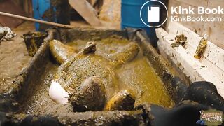 Frankys time in the manure basin - scat anal