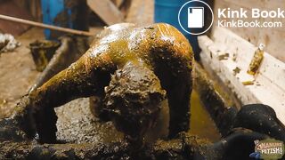 Frankys time in the manure basin - scat anal