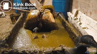 Frankys time in the manure basin - scat anal