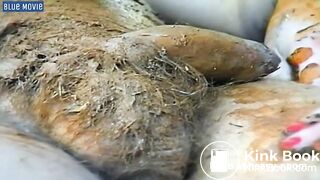 Scat Pig Smears Her Shit on His Cock & Sucks It