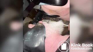 Toilet Dad Flushes My Entire Soft Dump