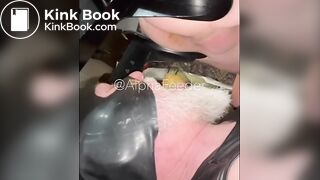 Toilet Dad Flushes My Entire Soft Dump