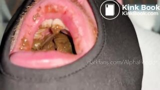 Another Hungry Toilet Fed