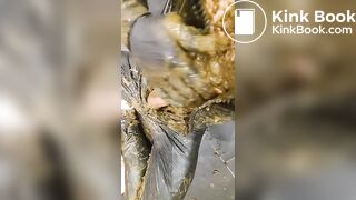 I won the Auction for Catwomen Suit (cow dung)