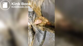 I won the Auction for Catwomen Suit (cow dung)