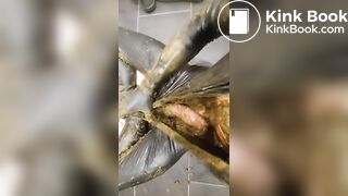 I won the Auction for Catwomen Suit (cow dung)