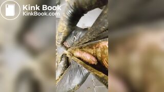 I won the Auction for Catwomen Suit (cow dung)