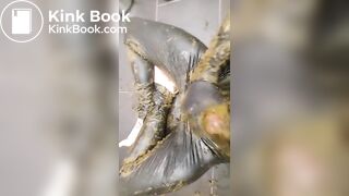 I won the Auction for Catwomen Suit (cow dung)