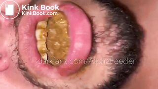 Toilet Flushes My Turds And Spit