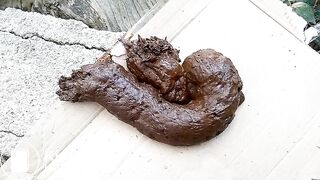 The flies enjoying my shit outdoors