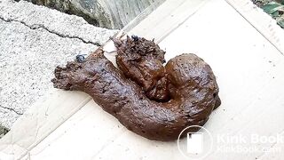 The flies enjoying my shit outdoors