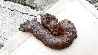 The flies enjoying my shit outdoors