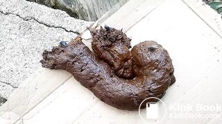 The flies enjoying my shit outdoors