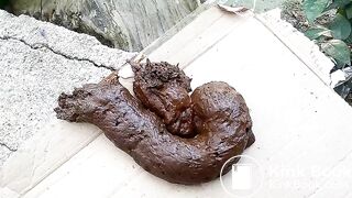 The flies enjoying my shit outdoors