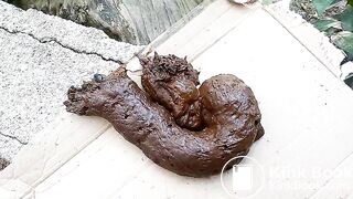 The flies enjoying my shit outdoors