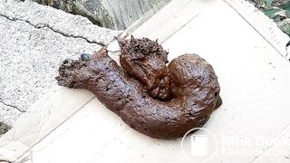 The flies enjoying my shit outdoors