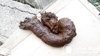 The flies enjoying my shit outdoors