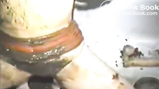 Filthy  Shit Slag Begs To Be Used as  Human Toilet