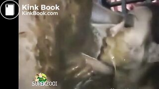 Asian Bimbo  Feasts on Shit Covered Cock & Asshole