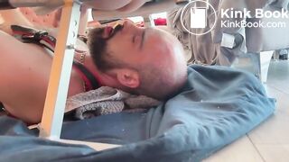 Feeding a Bald Shiteater