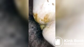Shit Fucking