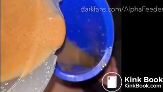 Toilet Pup Flushes A Protein Shit Shake