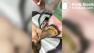 SHITTING IN MOUTH