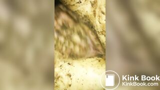 WE LOVE SHIT!!! Compilation