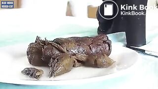 Sunday Dinner