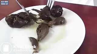 Sunday Dinner