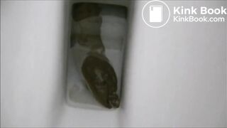 Shitting