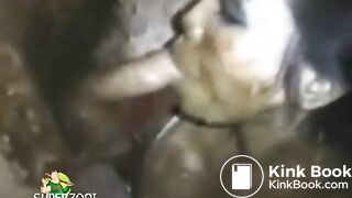 Honey Bee SucksRims Shit Covered CockAsshole