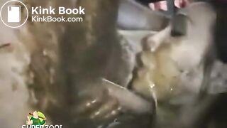 Honey Bee SucksRims Shit Covered CockAsshole