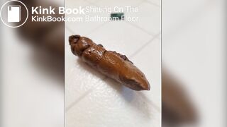 A peaceful poop on the bathroom floor